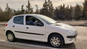 دلایل روغن سوزی 206